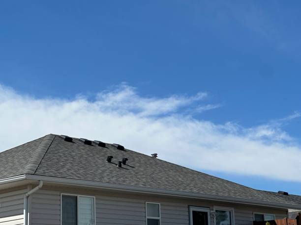 Fast & Reliable Emergency Roof Repairs in Bushland, TX